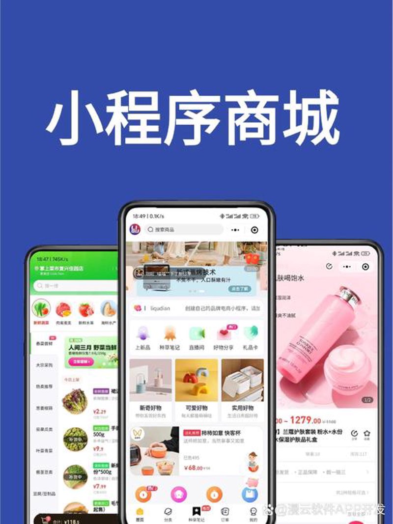 成都软件开发选购指南